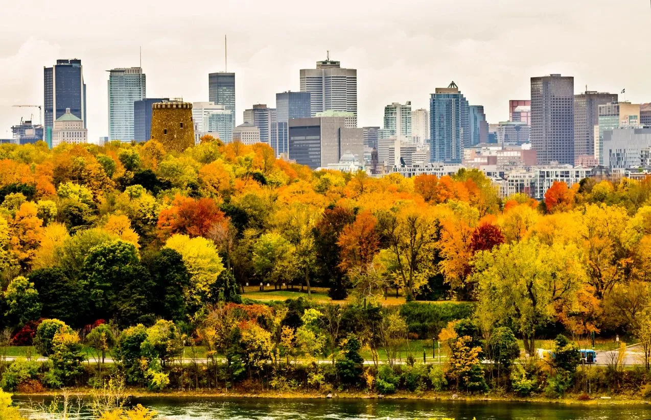 Living Well in a High-Pressure City: Vancouver Stressors in 2026